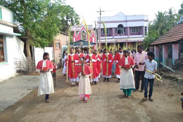 palm sunday poondi madha basilica