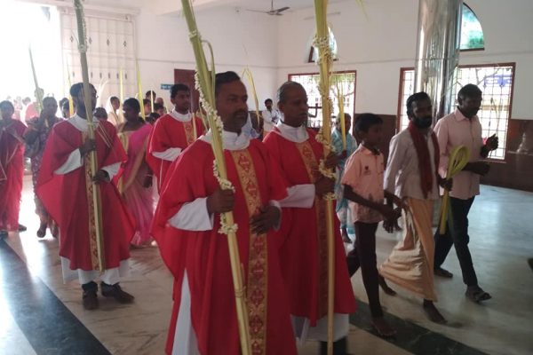 57313528_2311018355888974_1442067615030706176_n